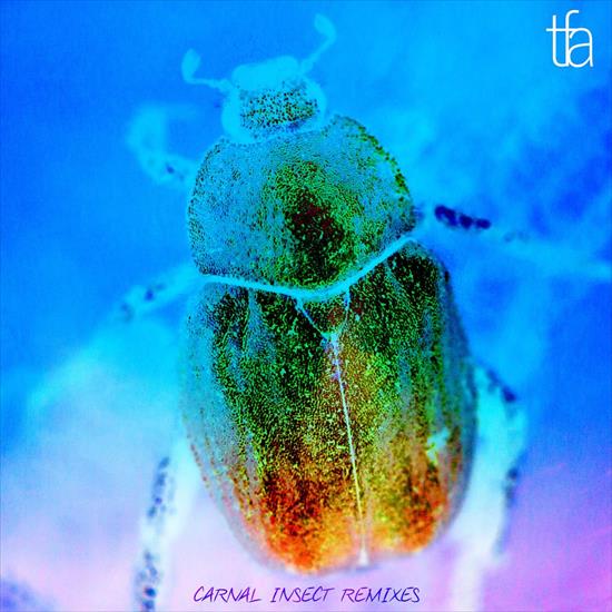 2019 - Carnal Insect Remixes - cover.jpg